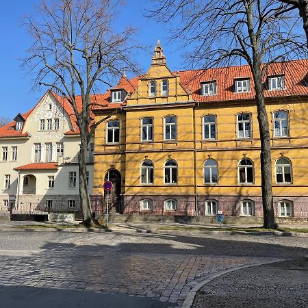 Apartment Zur Wiege Anhalts Балленштедт Екстер'єр фото